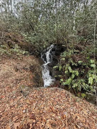 $299,000 | 820 Beaver Creek Road, Andrews, NC 28901