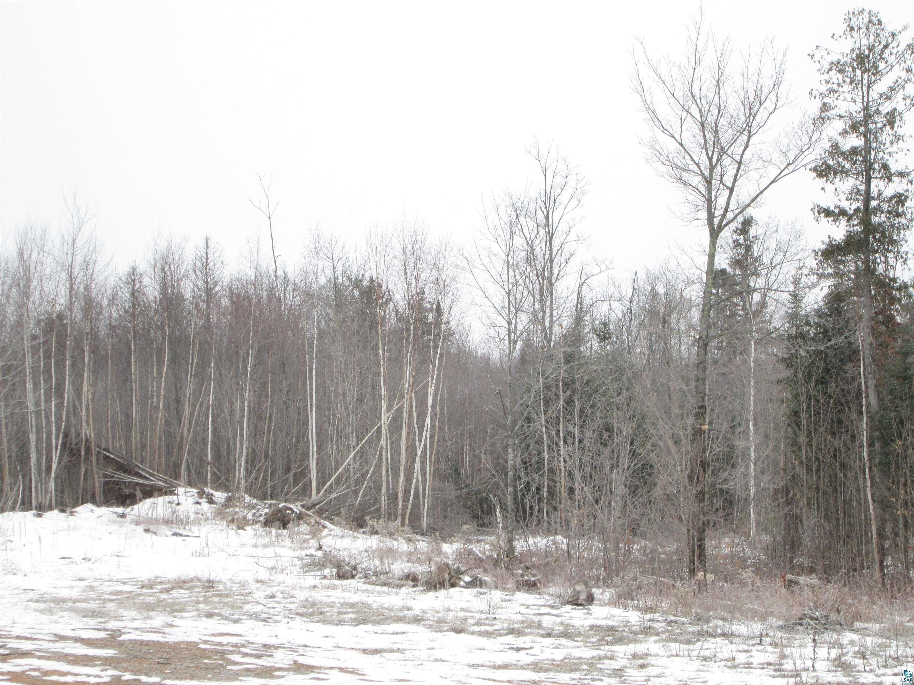 80-acres County Rd L South Range, WI 54874 - Photo 11 of 30