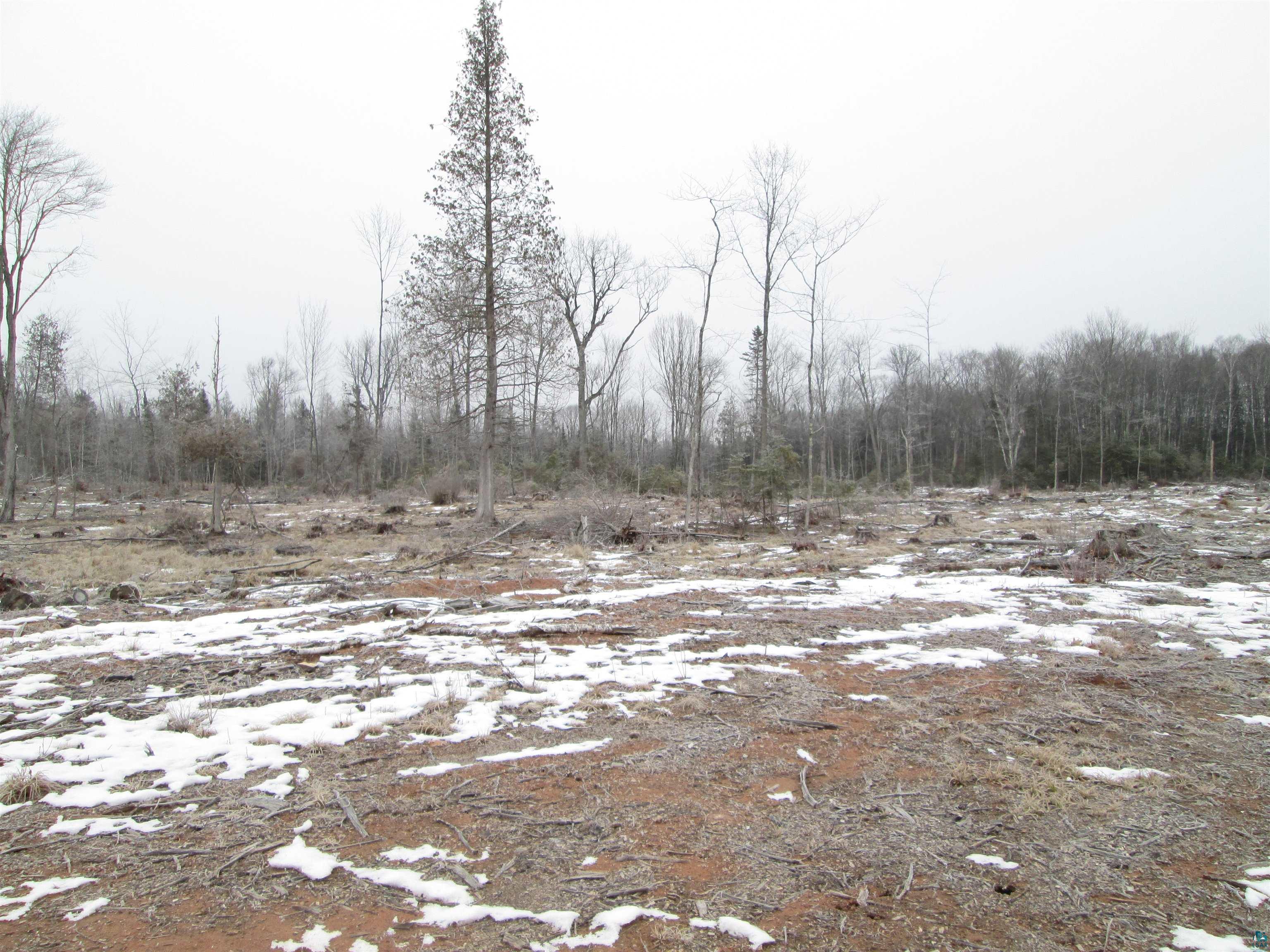 80-acres County Rd L South Range, WI 54874 - Photo 4 of 30