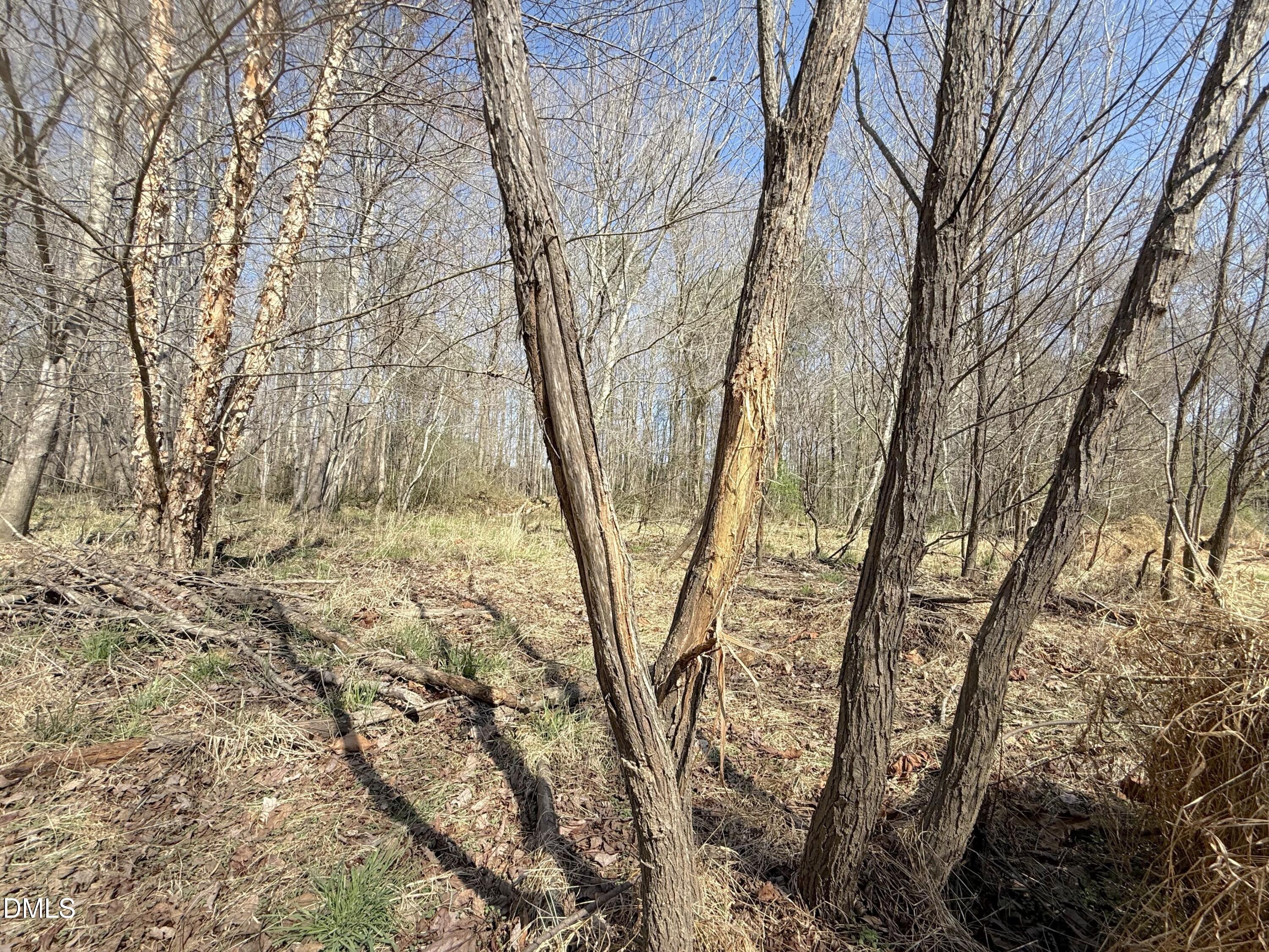 0 Tar River Road Oxford, NC 27565 - Photo 11 of 32 11