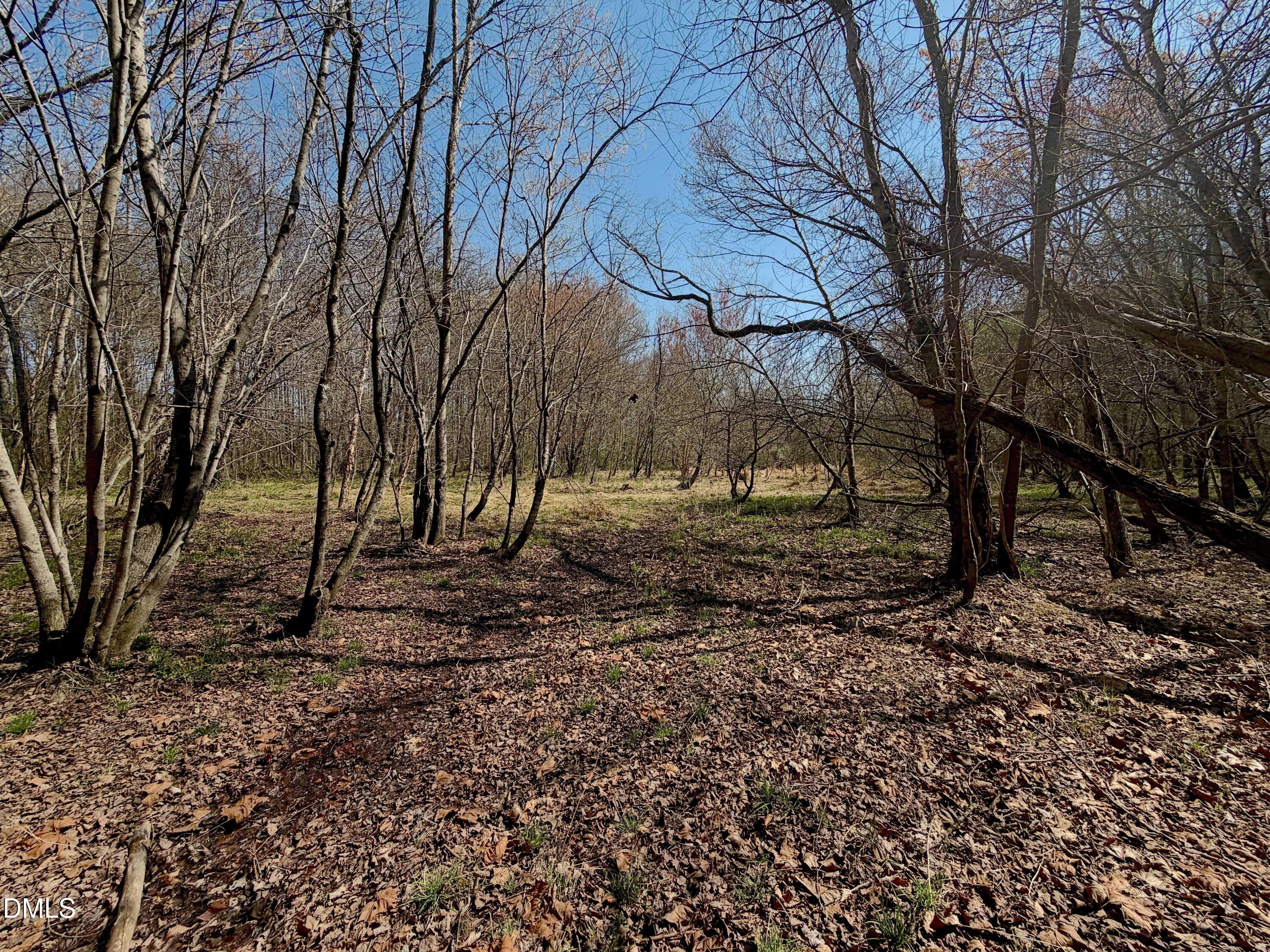 0 Tar River Road Oxford, NC 27565 - Photo 14 of 32 14