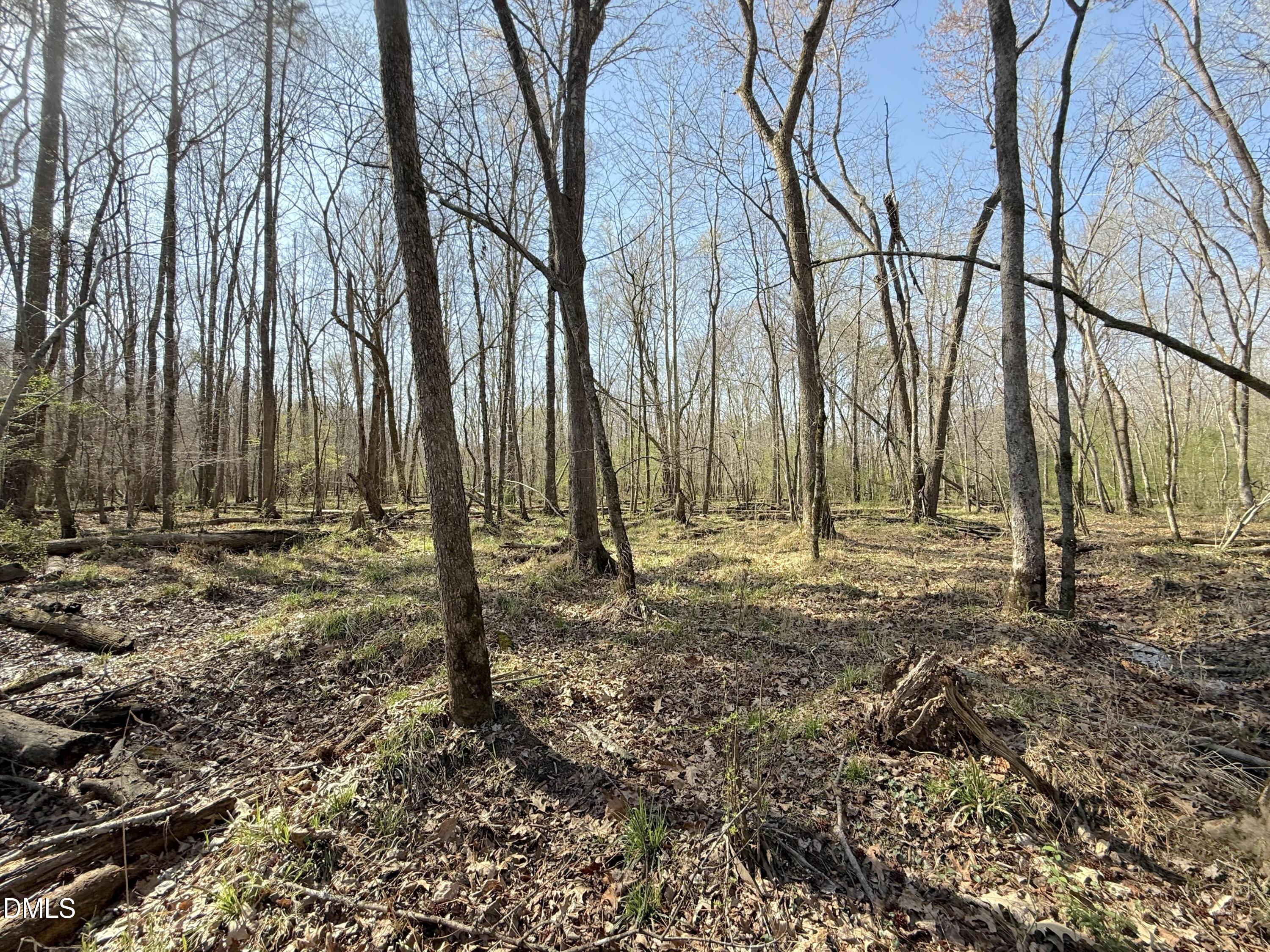 0 Tar River Road Oxford, NC 27565 - Photo 16 of 32 16