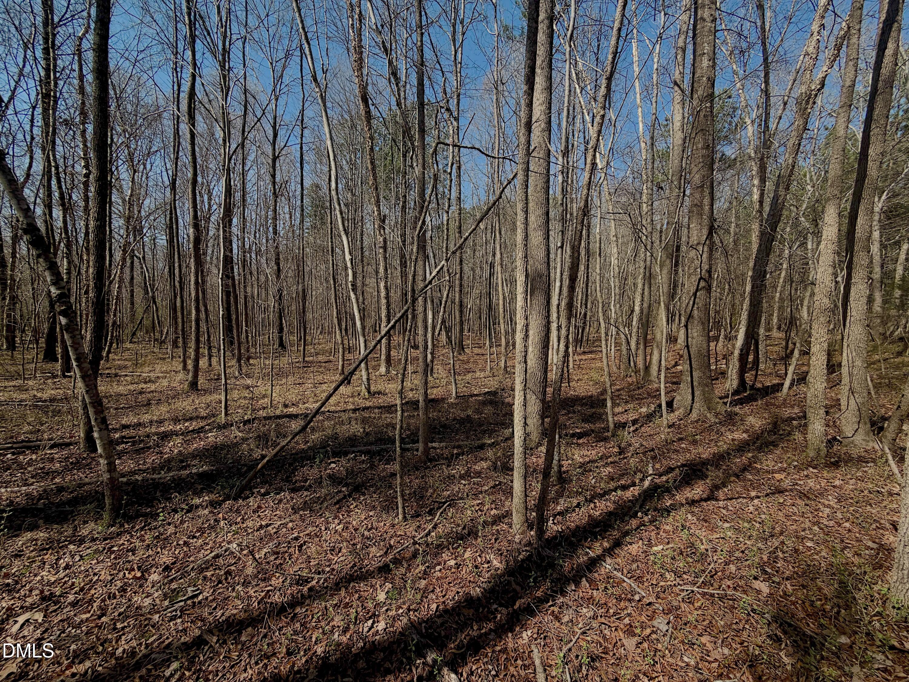 0 Tar River Road Oxford, NC 27565 - Photo 17 of 32 17