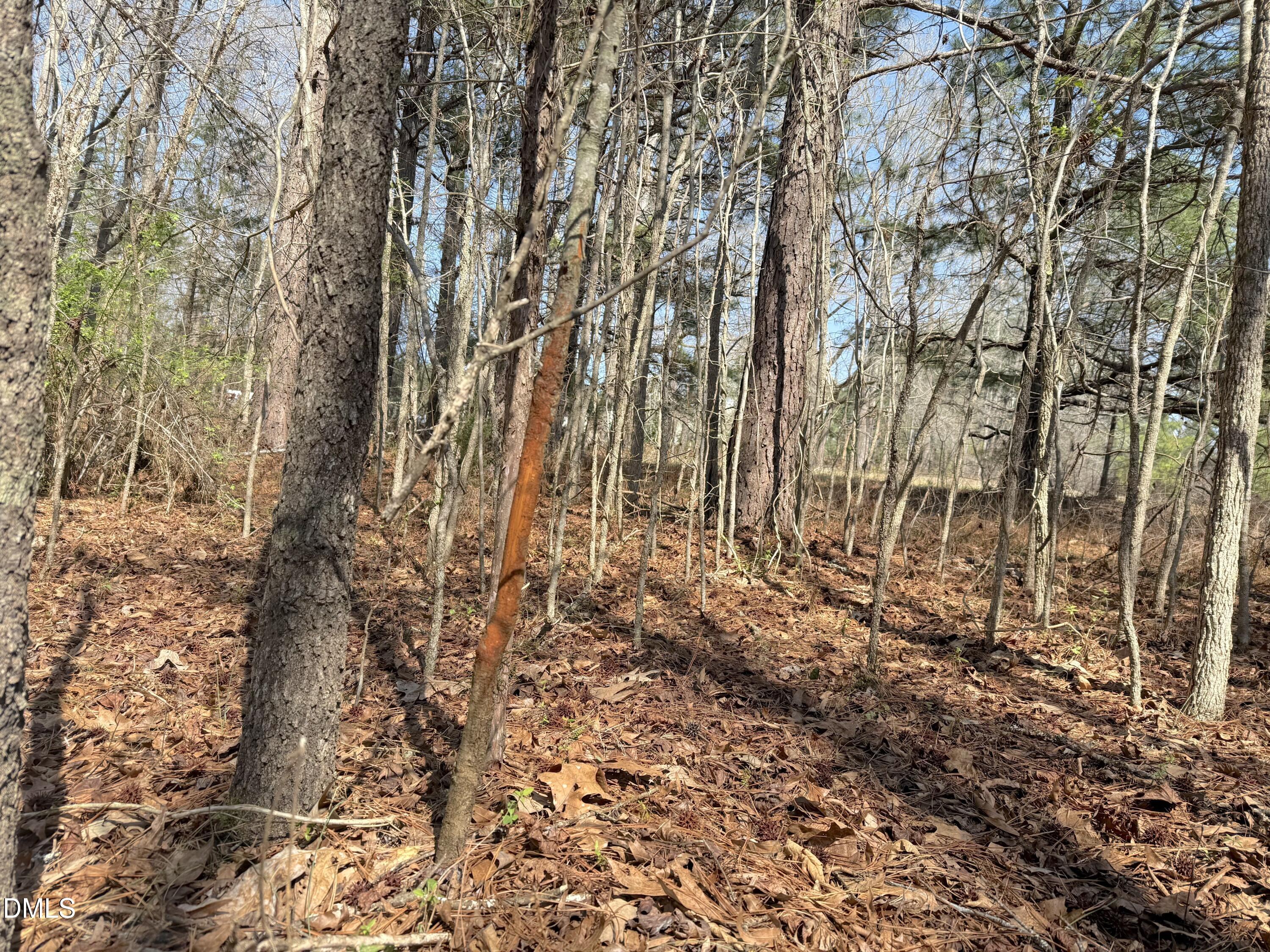 0 Tar River Road Oxford, NC 27565 - Photo 18 of 32 18