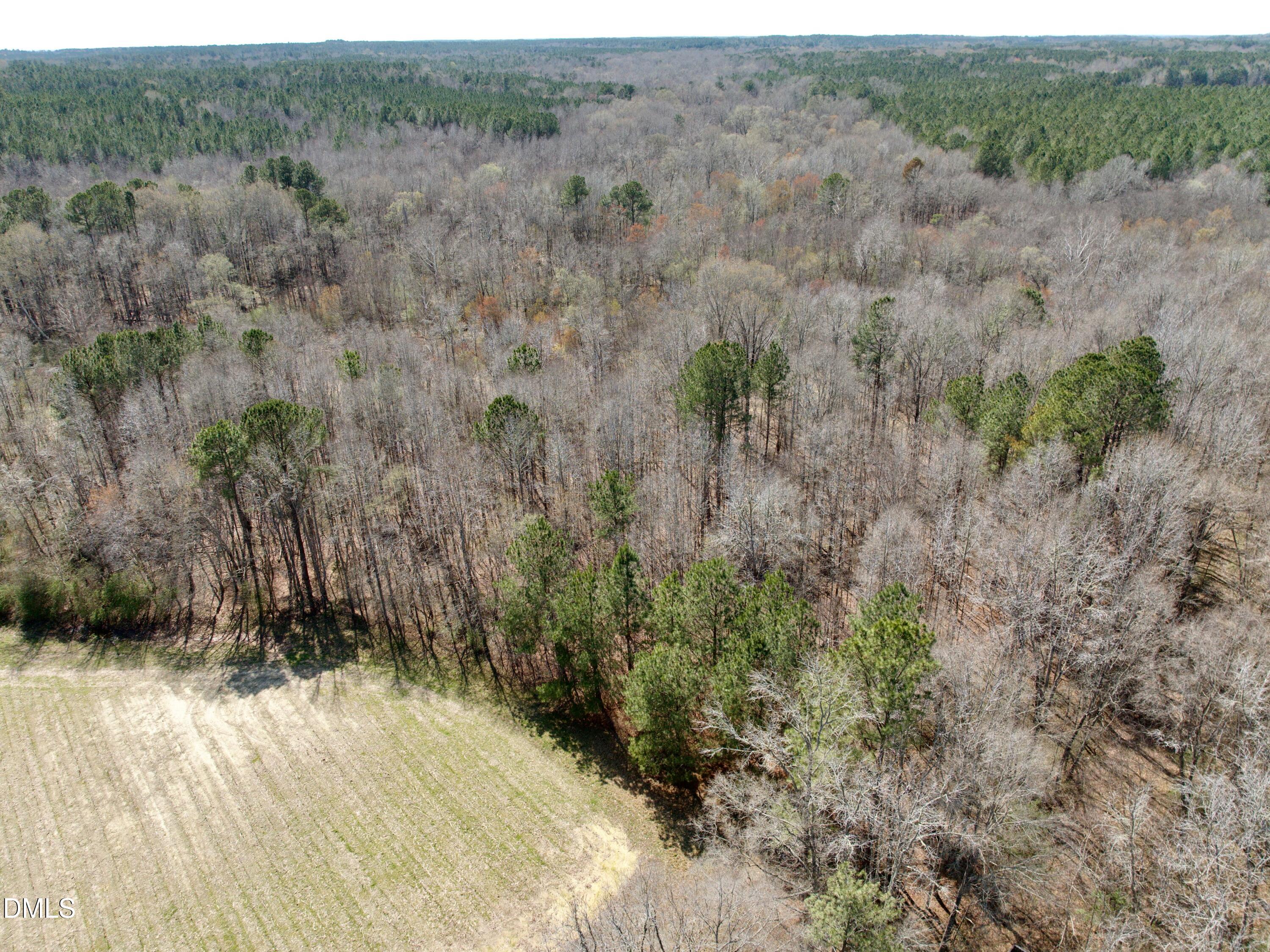0 Tar River Road Oxford, NC 27565 - Photo 19 of 32 19