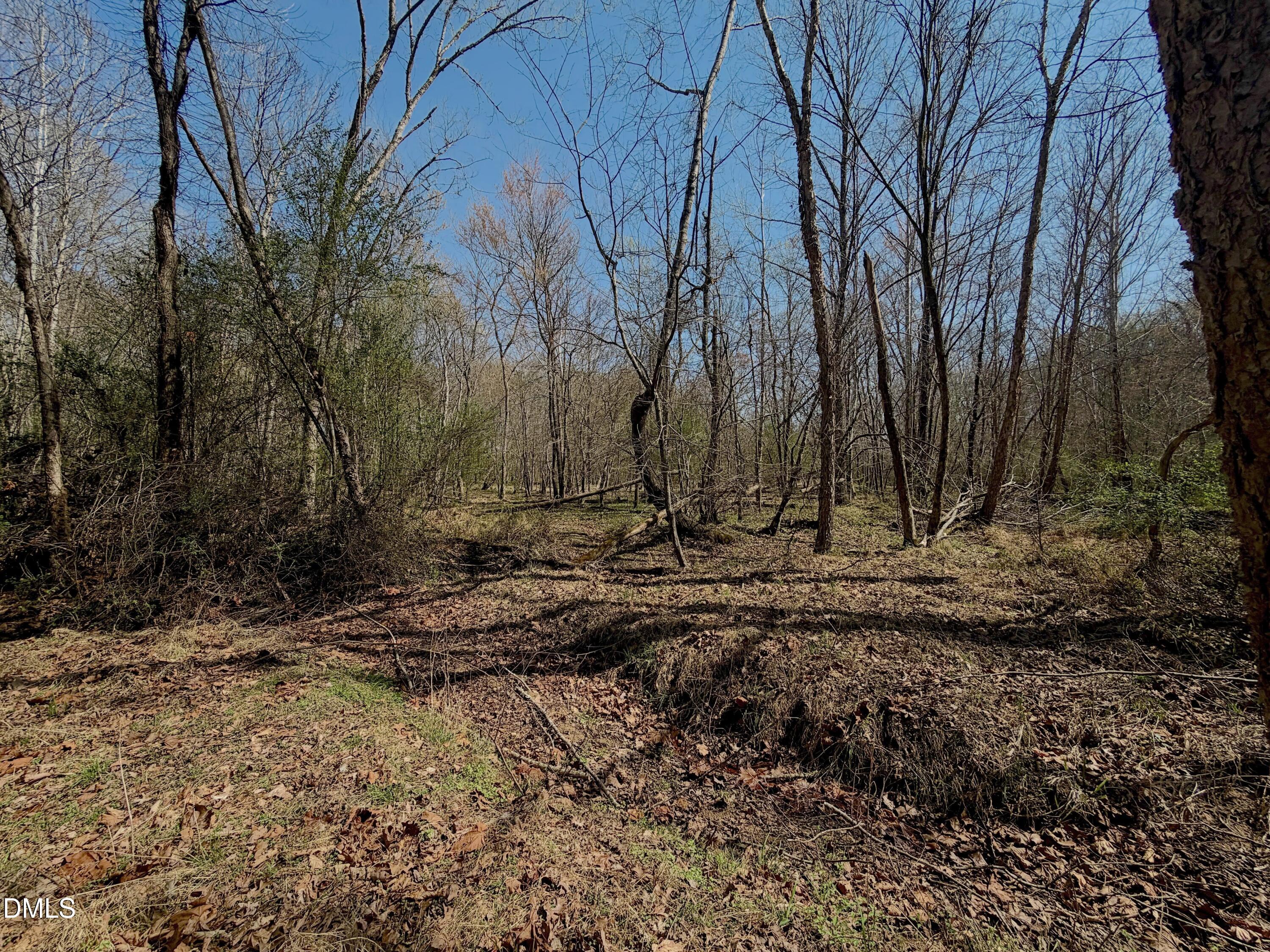 0 Tar River Road Oxford, NC 27565 - Photo 22 of 32 22