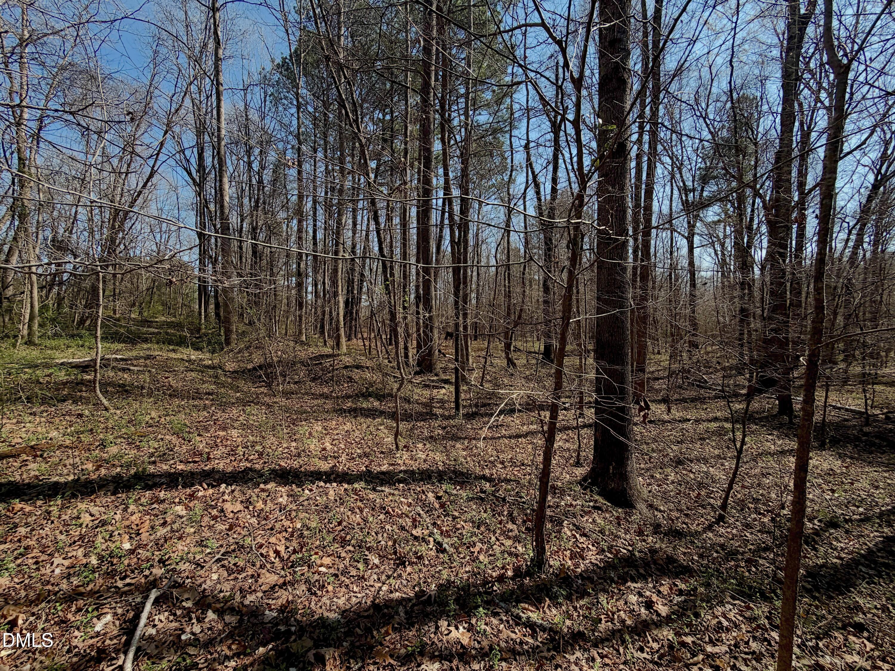 0 Tar River Road Oxford, NC 27565 - Photo 23 of 32 23