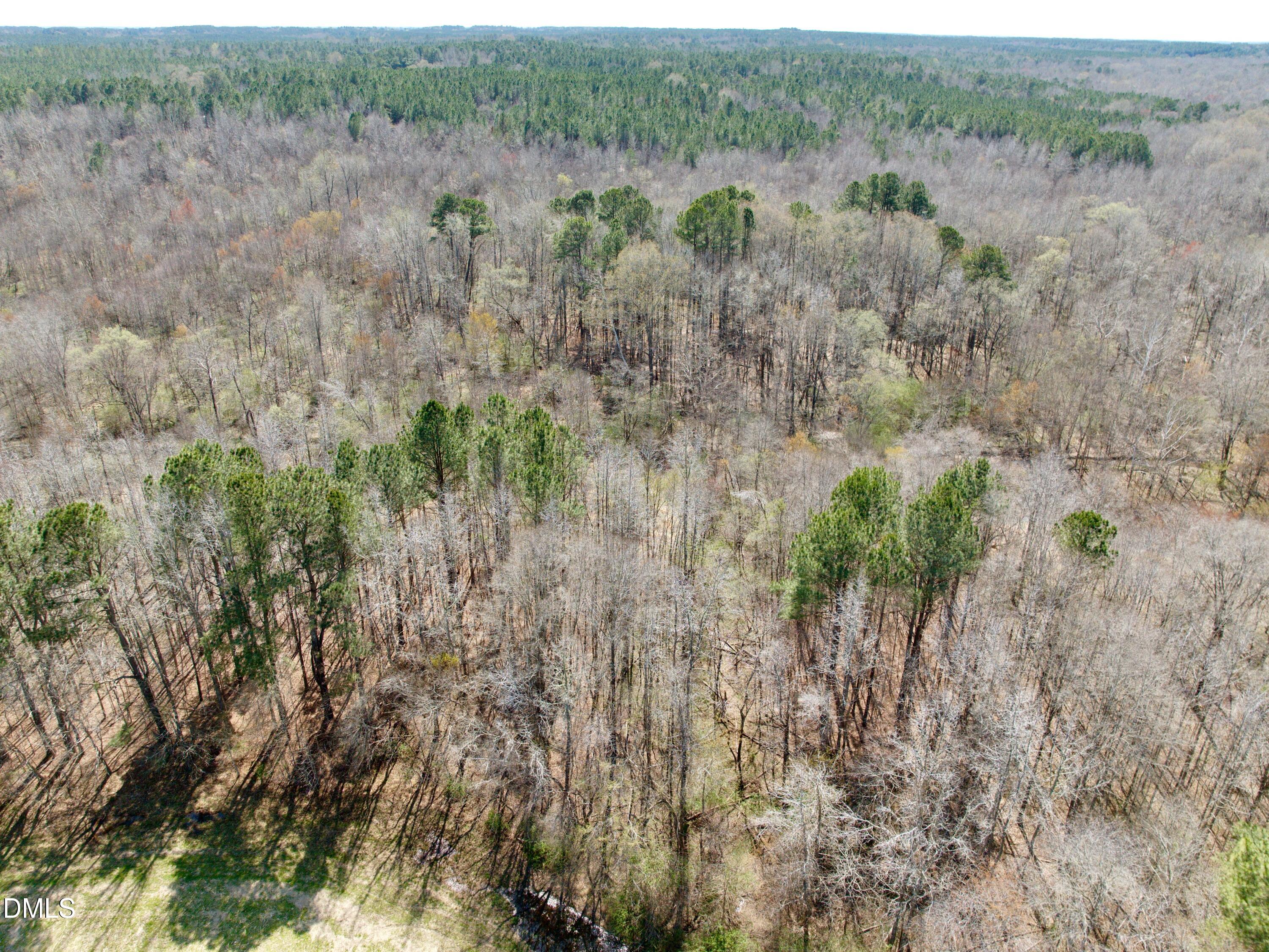 0 Tar River Road Oxford, NC 27565 - Photo 24 of 32 24