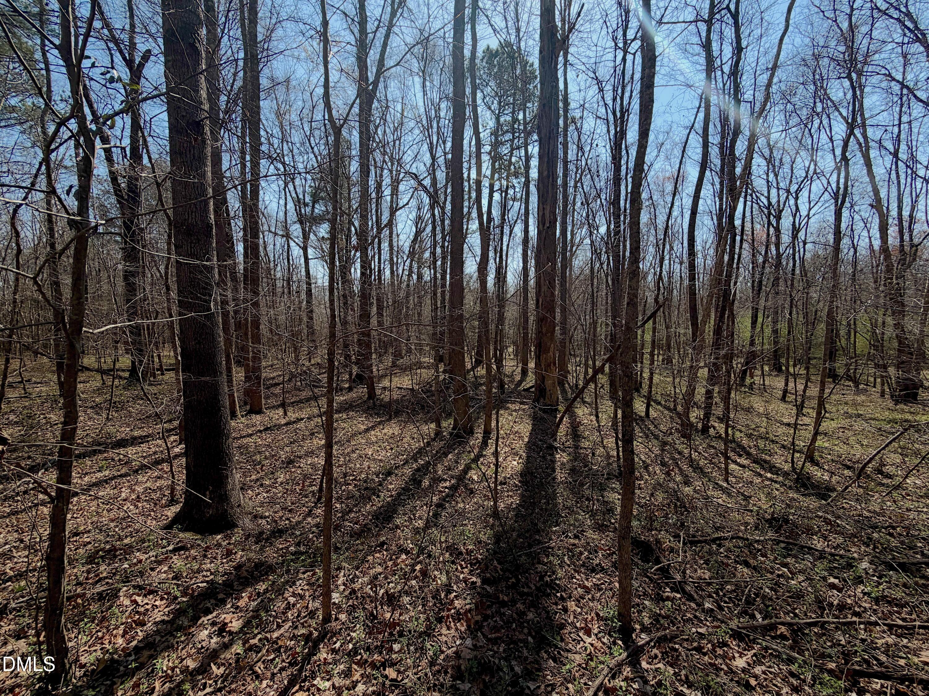 0 Tar River Road Oxford, NC 27565 - Photo 27 of 32 27