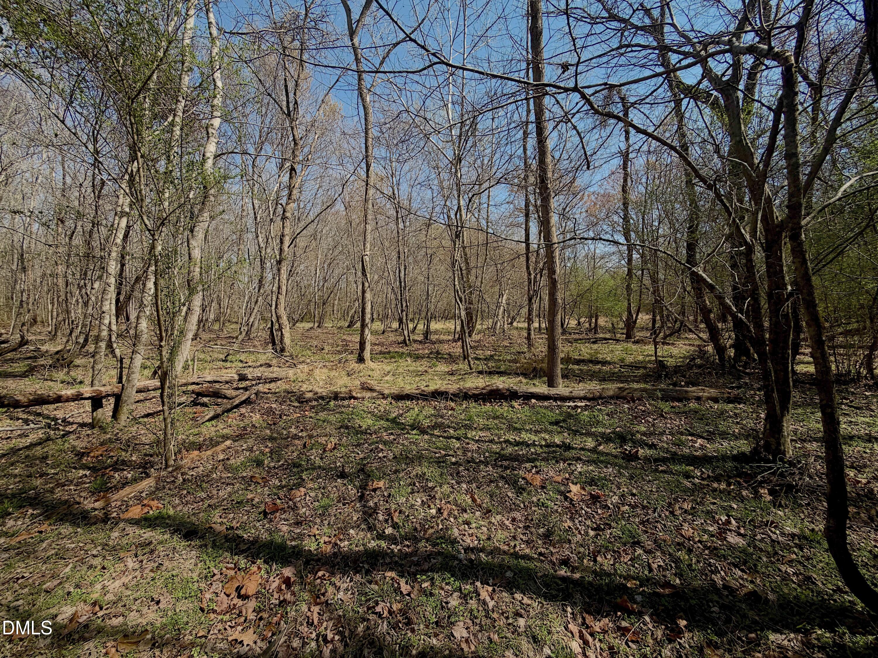 0 Tar River Road Oxford, NC 27565 - Photo 7 of 32 7