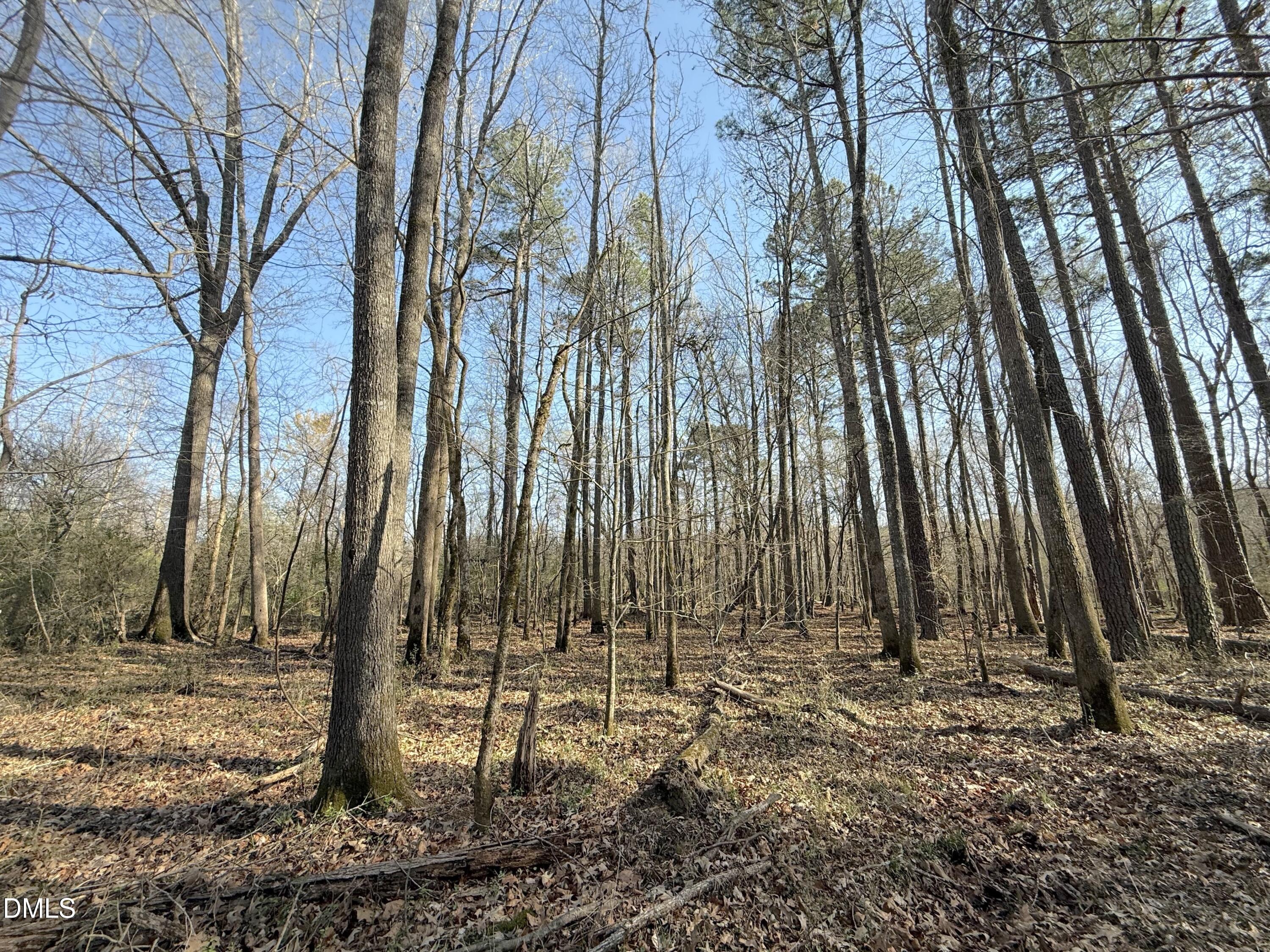 0 Tar River Road Oxford, NC 27565 - Photo 8 of 32 8