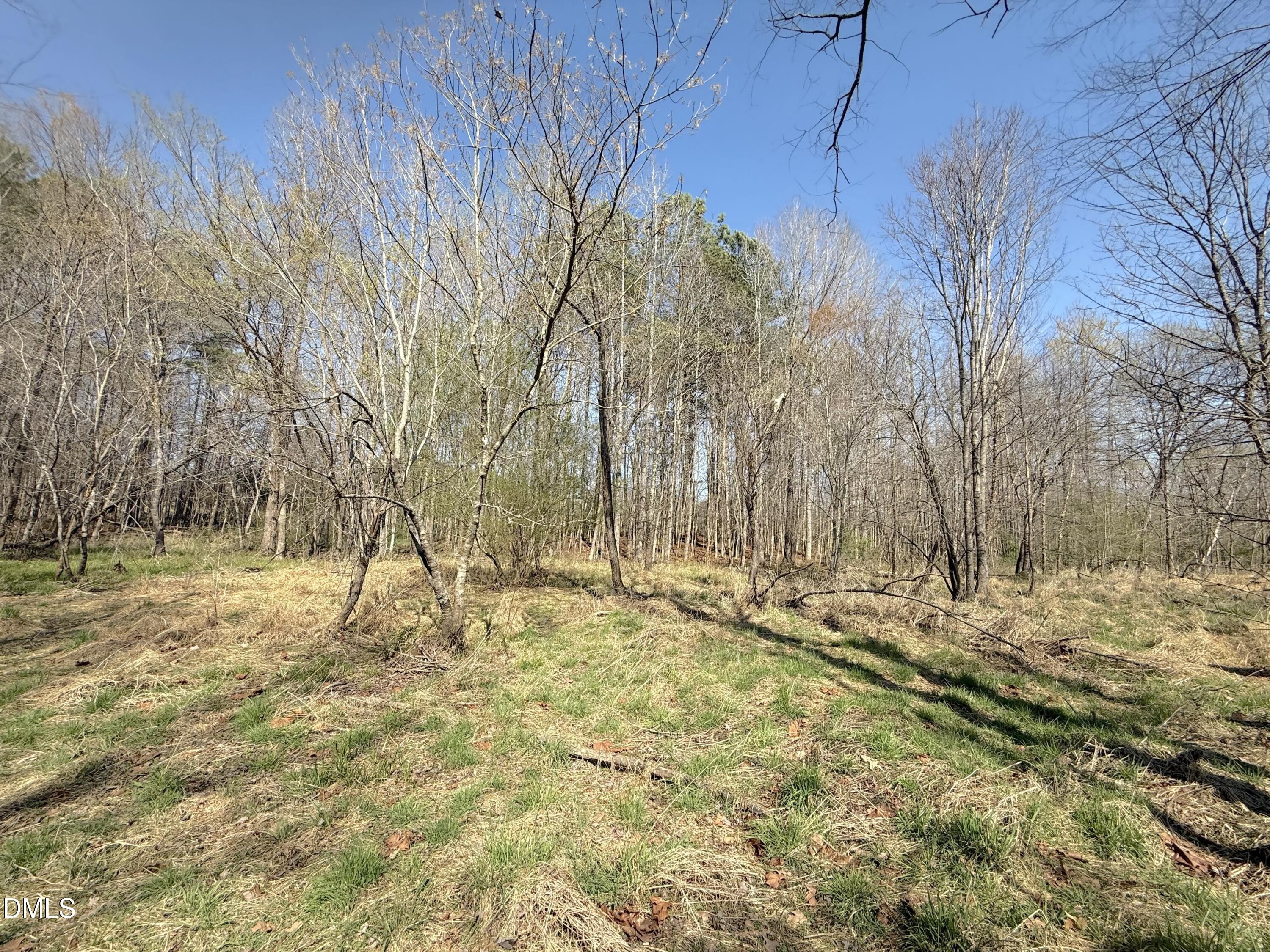 0 Tar River Road Oxford, NC 27565 - Photo 9 of 32 9