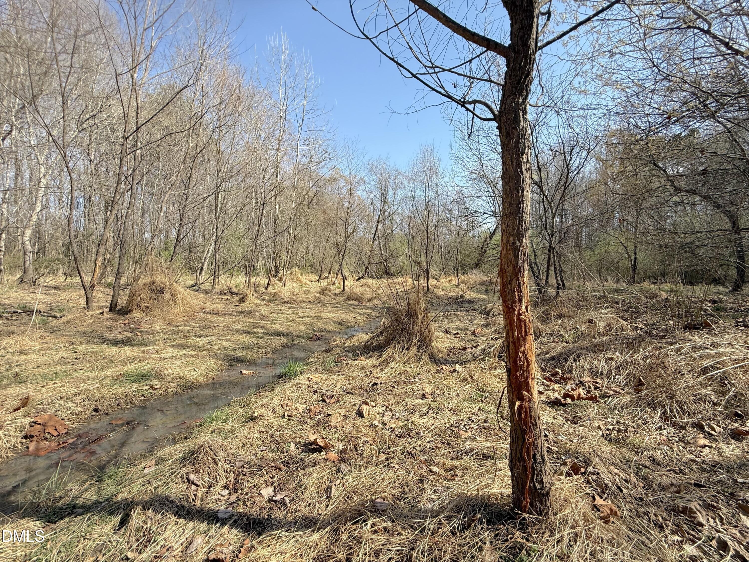0 Tar River Road Oxford, NC 27565 - Photo 10 of 32 10