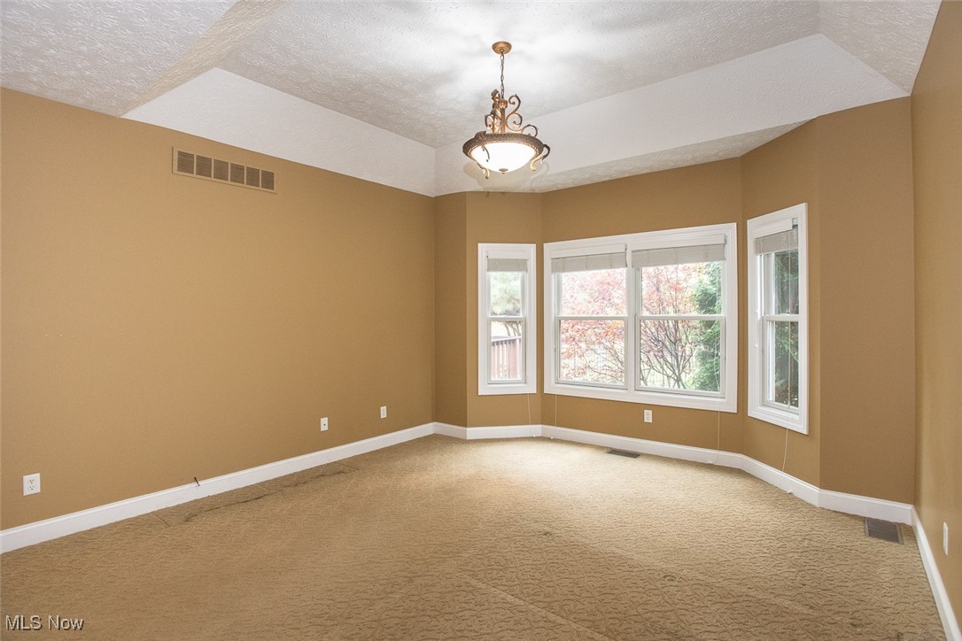 630 Rundle Street Lagrange, OH 44050 - Photo 18 of 49 Unfurnished room featuring light carpet, a textured ceiling, and a tray ceiling