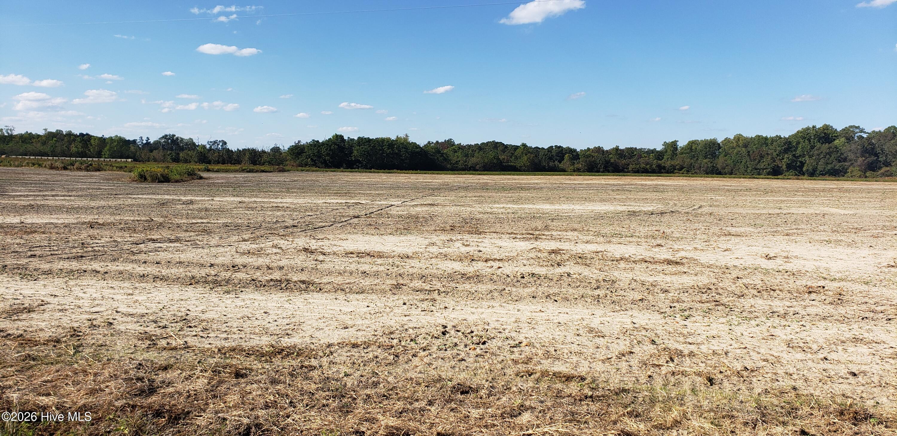 510 Mitchell Loop Road Roseboro, NC 28382 - Photo 4 of 5 20221014_155212