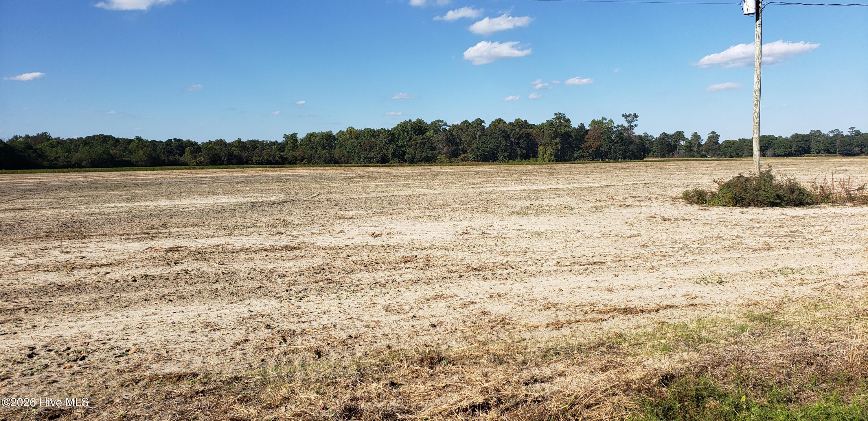 510 Mitchell Loop Road Roseboro, NC 28382 - Photo 5 of 5 20221014_155215