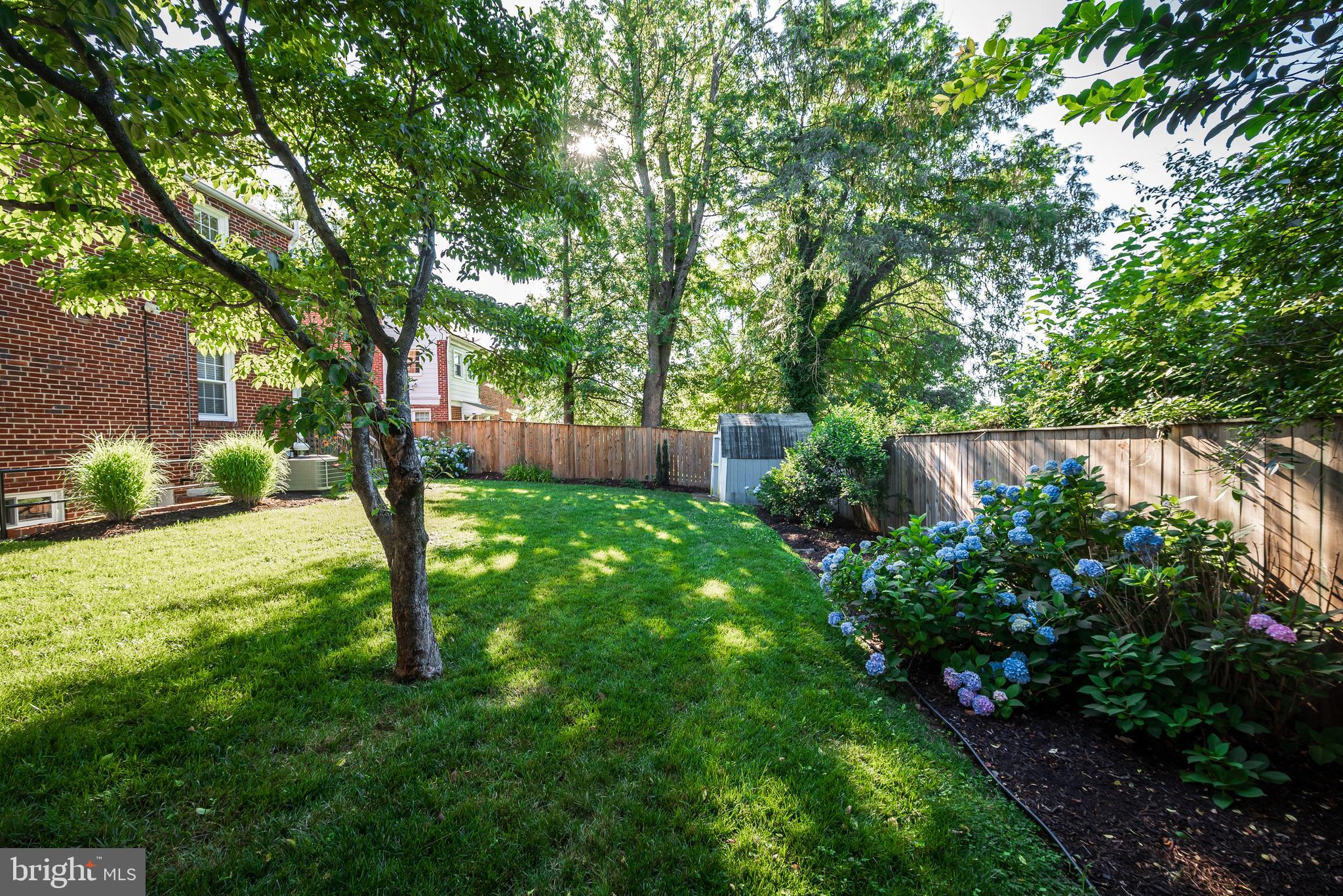 212 Normandy Drive Silver Spring, MD 20901 - Photo 66 of 77 Backyard