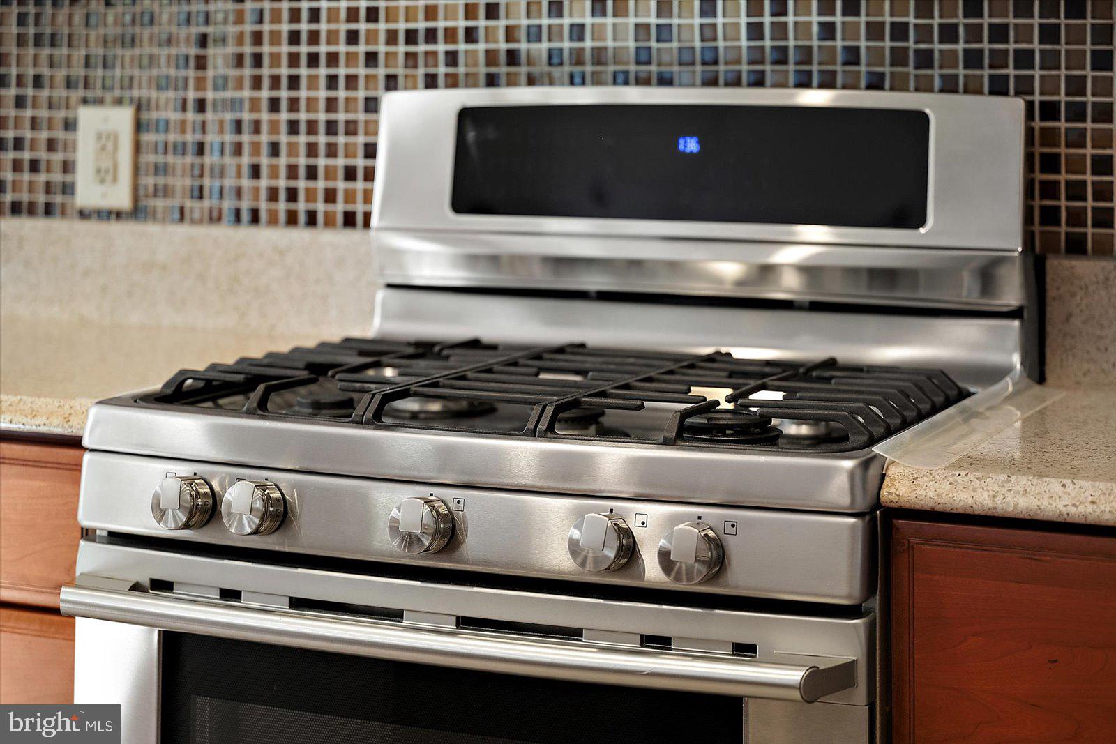 101 Mumford Landing Road Ocean Pines, MD 21811 - Photo 32 of 135 Gas range / dual fuel oven and warming drawer