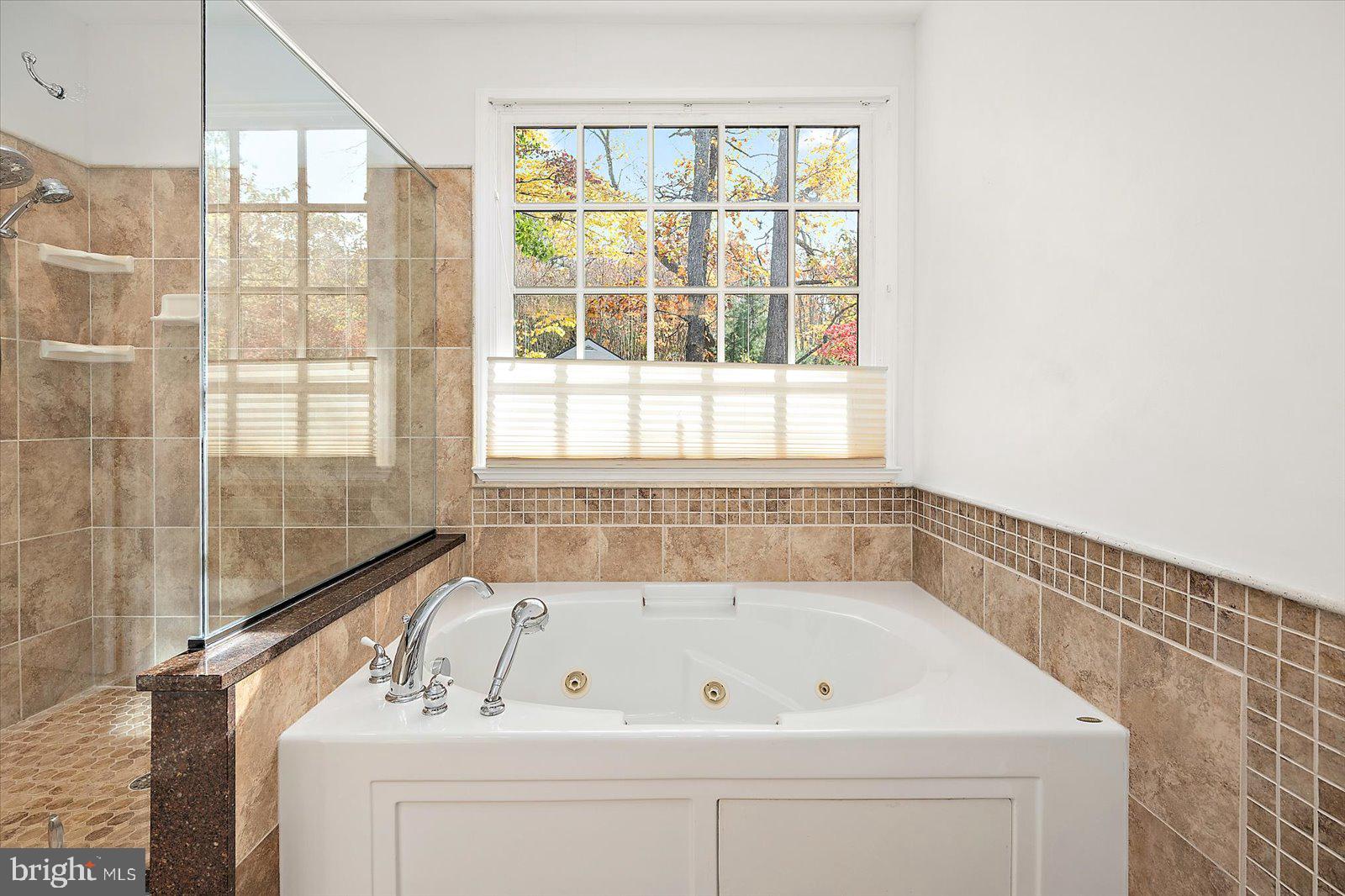 101 Mumford Landing Road Ocean Pines, MD 21811 - Photo 44 of 135 Jacuzzi Tub