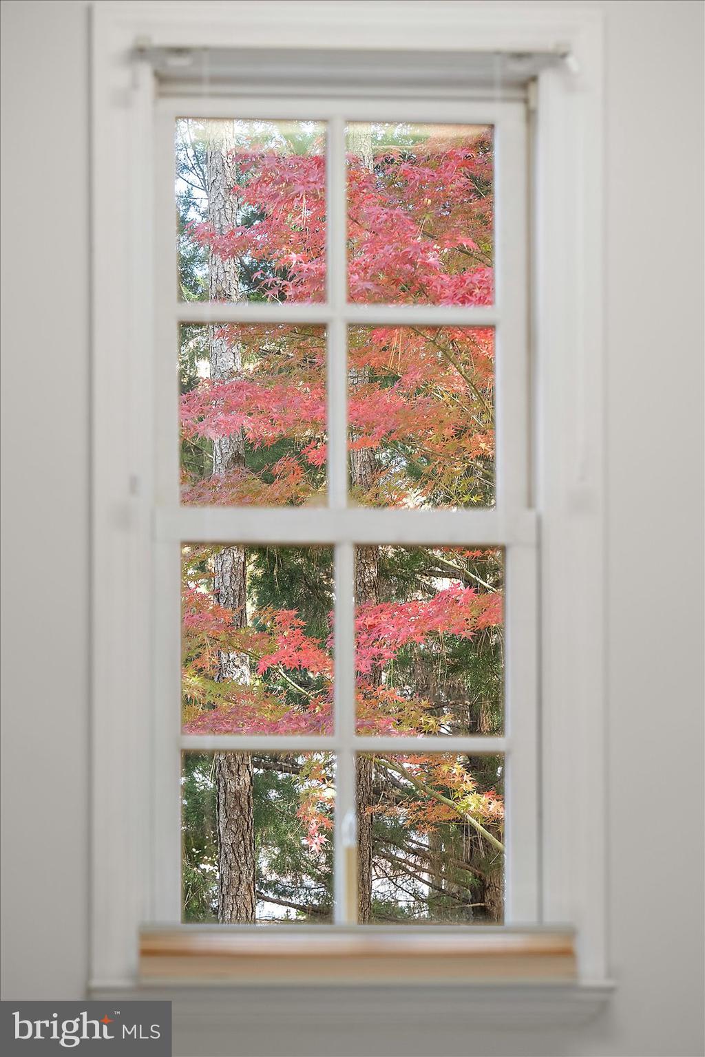 101 Mumford Landing Road Ocean Pines, MD 21811 - Photo 50 of 135 Beauty of outdoors from all windows.