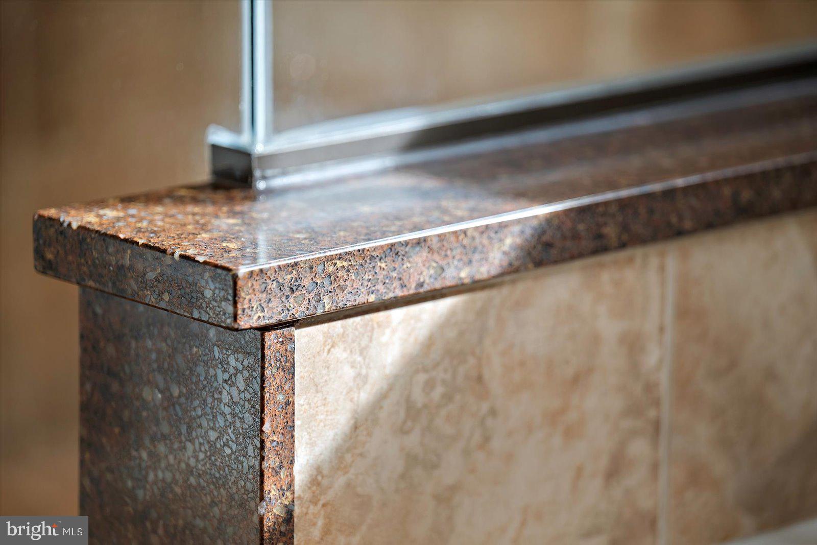 101 Mumford Landing Road Ocean Pines, MD 21811 - Photo 53 of 135 Silestone Shower