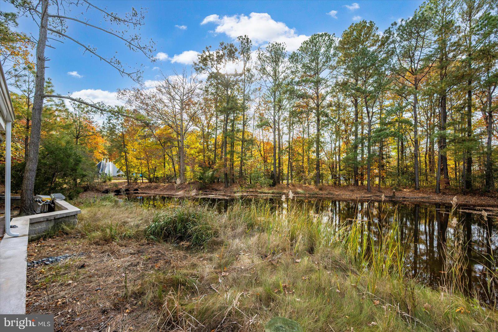 101 Mumford Landing Road Ocean Pines, MD 21811 - Photo 87 of 135 Whats not to love about this?