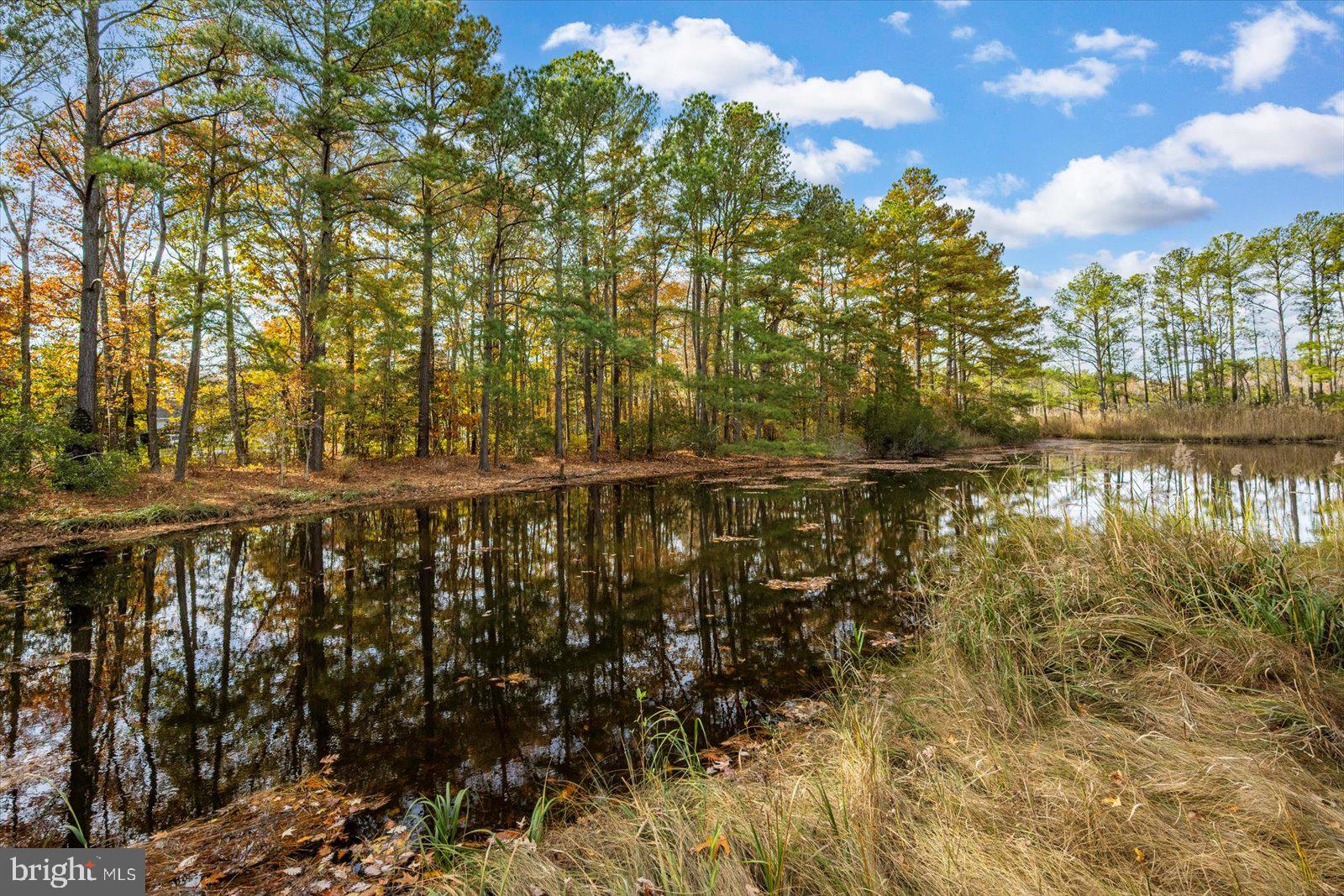 101 Mumford Landing Road Ocean Pines, MD 21811 - Photo 89 of 135 Every day this is your view
