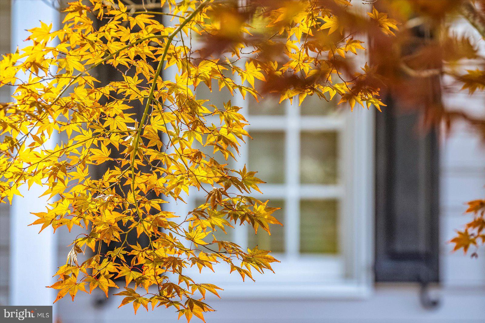 101 Mumford Landing Road Ocean Pines, MD 21811 - Photo 92 of 135