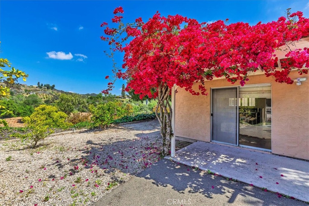 40057 South Shore Drive Fallbrook, CA 92028 - Photo 29 of 53 a front view of a house with a tree