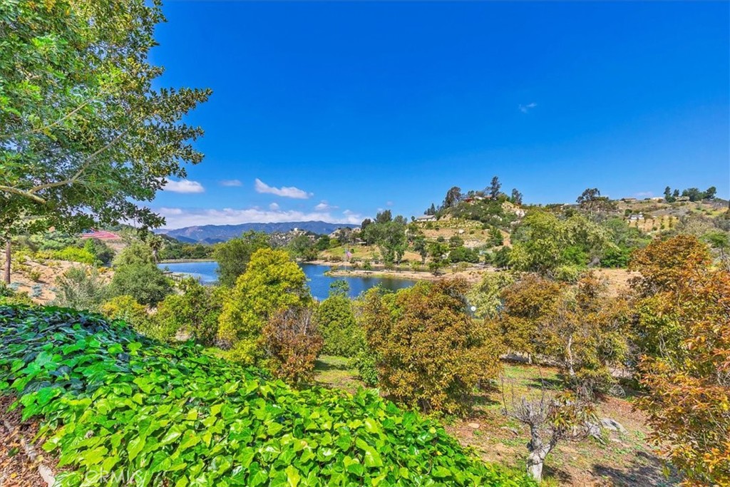 40057 South Shore Drive Fallbrook, CA 92028 - Photo 35 of 53