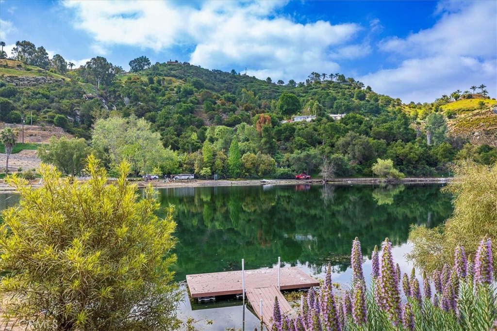 40057 South Shore Drive Fallbrook, CA 92028 - Photo 43 of 53 a view of lake with green space