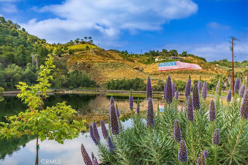 40057 South Shore Drive Fallbrook, CA 92028 - Photo 45 of 53 a view of a lake with a mountain in the background