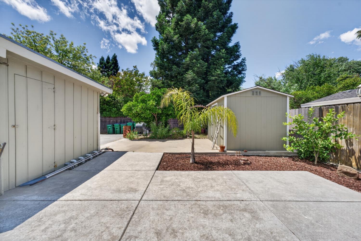 1880 Magnolia Street Gridley, CA 95948 - Photo 63 of 95 a backyard of a house with plants and trees