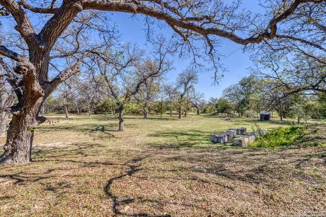 a view of a backyard with large trees
