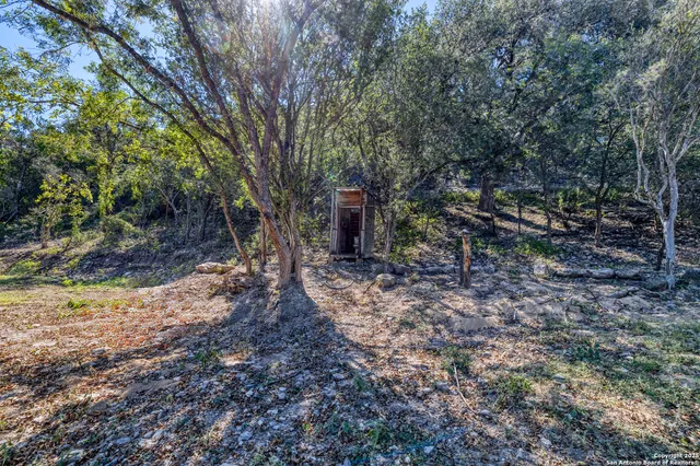 a view of a yard with large trees