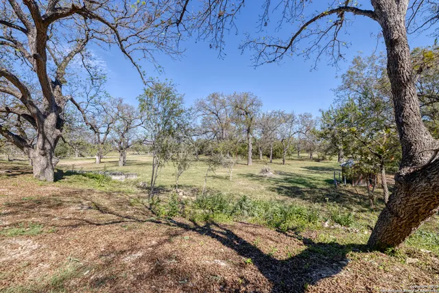 a big yard with lots of green space