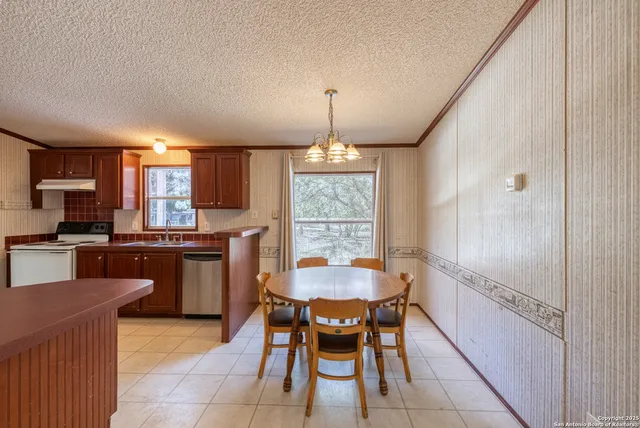 a view of a yard with a plant