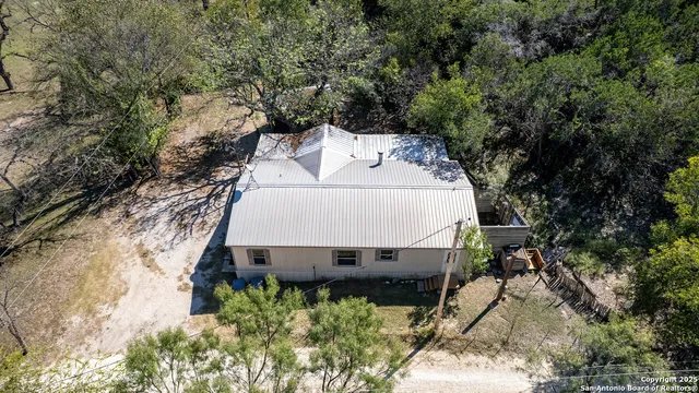 a view of a forest with trees