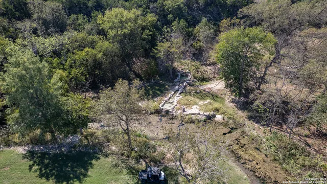 a view of a forest with a mountain in the background