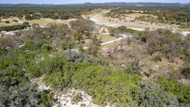a close up of a tree in a yard