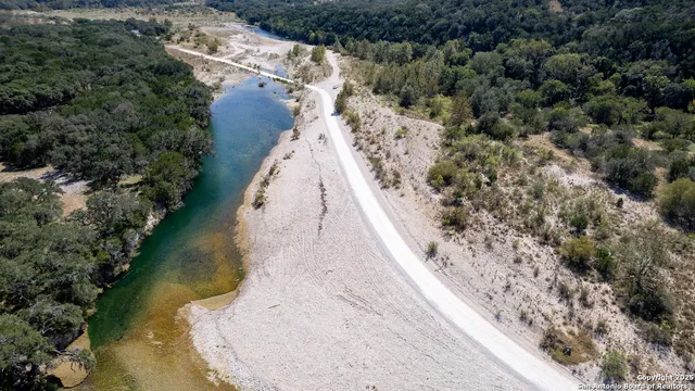 a backyard of a house with lots of plants and large tree