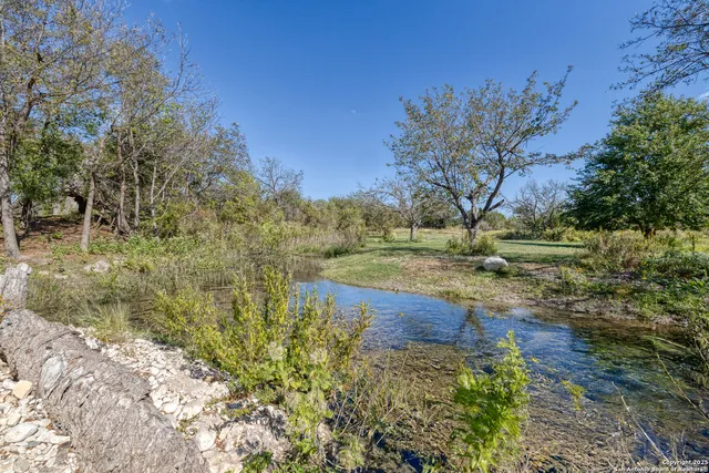 a view of backyard with green space