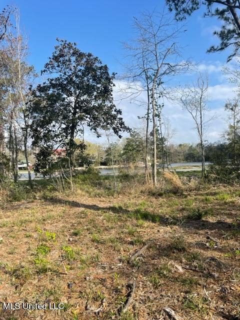 12012 Rio Lado Lane D'Iberville, MS 39540 - Photo 10 of 10 IMG_4462