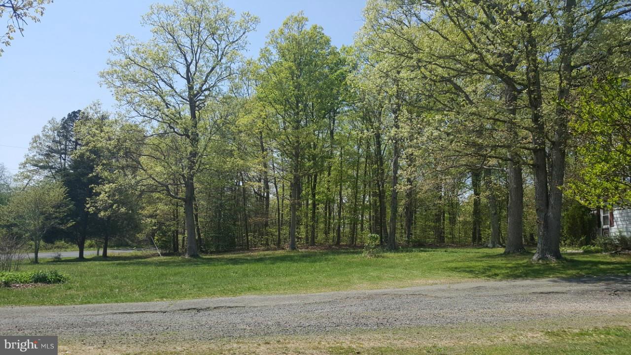 5114 Stewart Road Sumerduck, VA 22742 - Photo 6 of 21 Exterior (General)