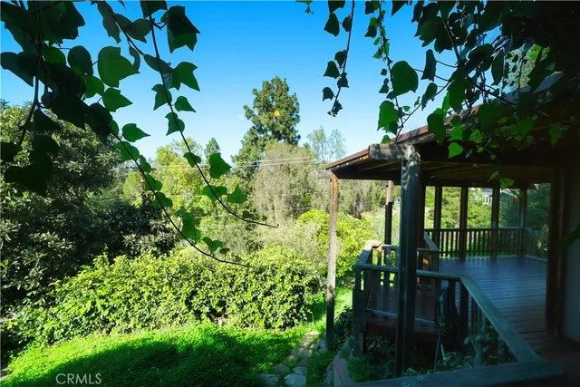 a view of a street sign under a large tree