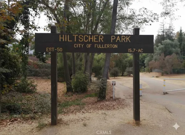 a view of an trees with a yard