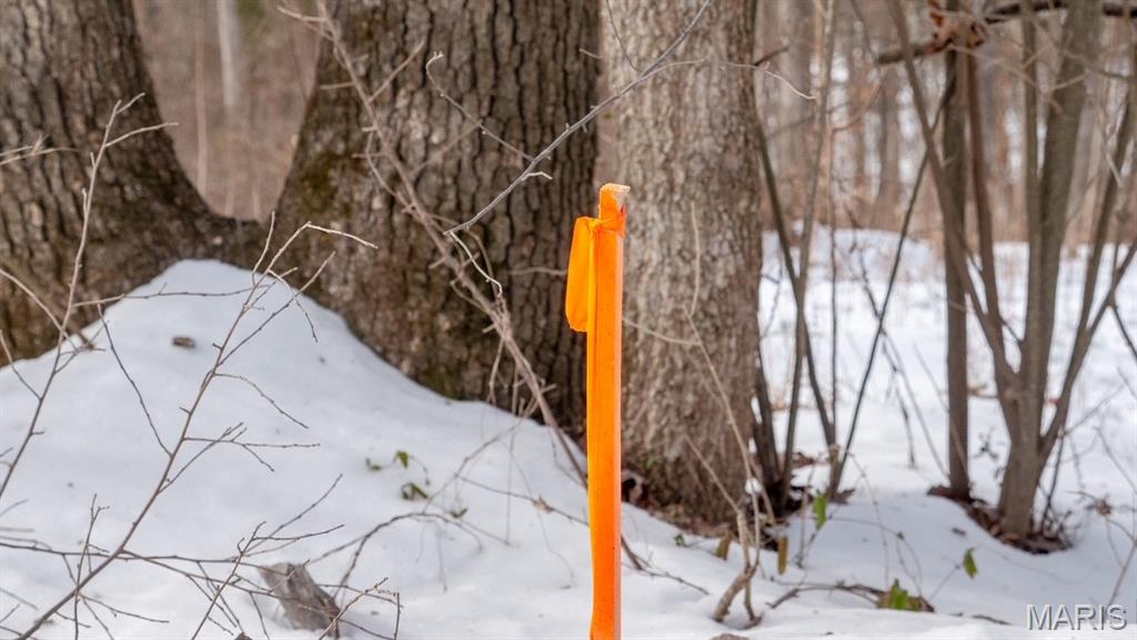 29129 Pinnacle Lake Road New Florence, MO 63363 - Photo 12 of 13