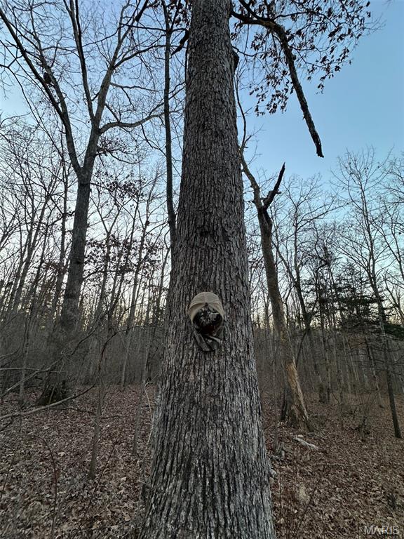 29129 Pinnacle Lake Road New Florence, MO 63363 - Photo 13 of 13