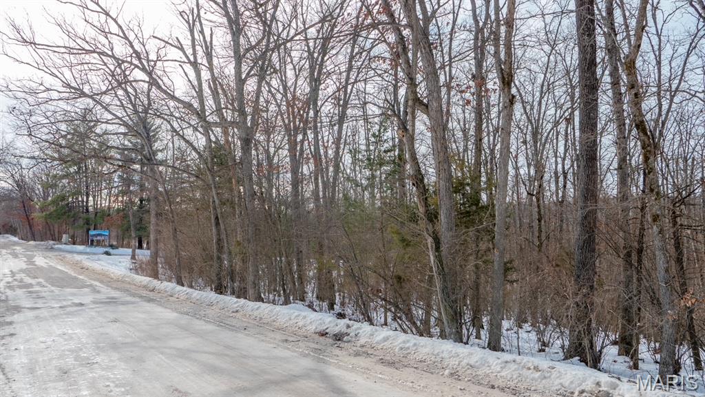 29129 Pinnacle Lake Road New Florence, MO 63363 - Photo 2 of 13