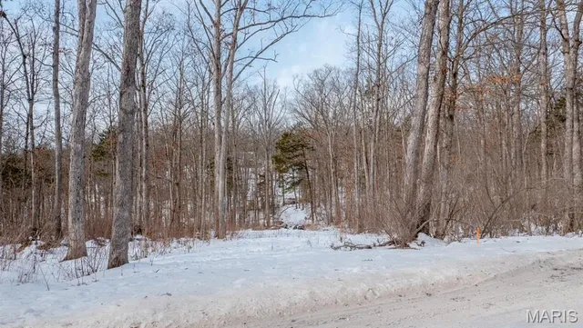 $69,900 | 29129 Pinnacle Lake Road, New Florence, MO 63363